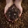 Premium Garden Soil (30 cubic yards) in Bulk