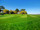 Hancock Seed Co. Common Bermuda Grass Seed, Raw & Hulled (50 pound bags) in Bulk (2)