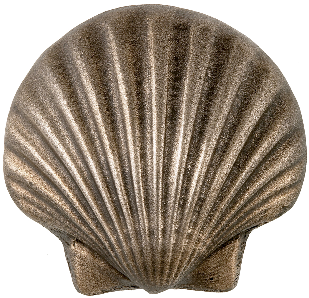 scalloped-seashell.jpg