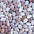 Toemi pebbles Ocala berri