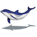 BOTTLENOSE DOLPHIN DOWNWARD WITH SHADOW