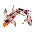 Koi Fish A Pool mosaic 