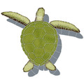 Loggerhead Turtle with Shadow Green