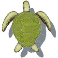 Loggerhead Turtle with Shadow Green 16" x 16"
