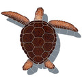 Loggerhead Turtle with Shadow brown 21" x 26"