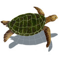 Sea Turtle with Shadow Natural 24" x 30"