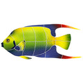 Queen Angelfish pool mosaic inlay 5" x 12"
