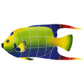 Queen Angelfish pool mosaic inlay 8" x 18"