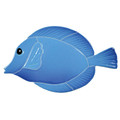 Tang Fish Blue pool mosaic inlay 4" x 7"