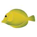 Tang Fish Yellow pool mosaic inlay 4" x 7"