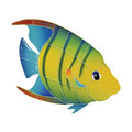  Banded Angelfish pool mosaic inlay 9" x 10" Right