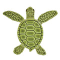 Loggerhead Turtle B Mini Green