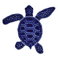 Loggerhead Turtle A Mini Blue