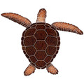 Loggerhead Turtle Brown 20" x 24"