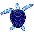 Loggerhead Turtle Blue 8" x 10"