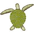 Loggerhead Turtle Green 8" x 10"