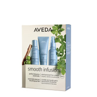 Aveda Smooth Infusion Discovery Travel Set