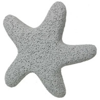 Kingsley Star Fish Shaped Pumice