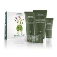 Aveda Tourmaline Charged Skin Care Kit for Normal Skin 3.54 Oz