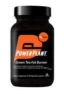 InVite Health Green Tea Fat Burner