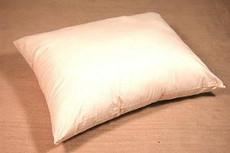 Eco-Basics Pillow, Queen Size